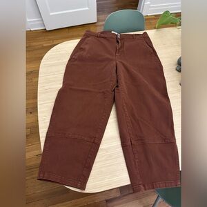 Everlane Utility Barrel Pant in Rosewood